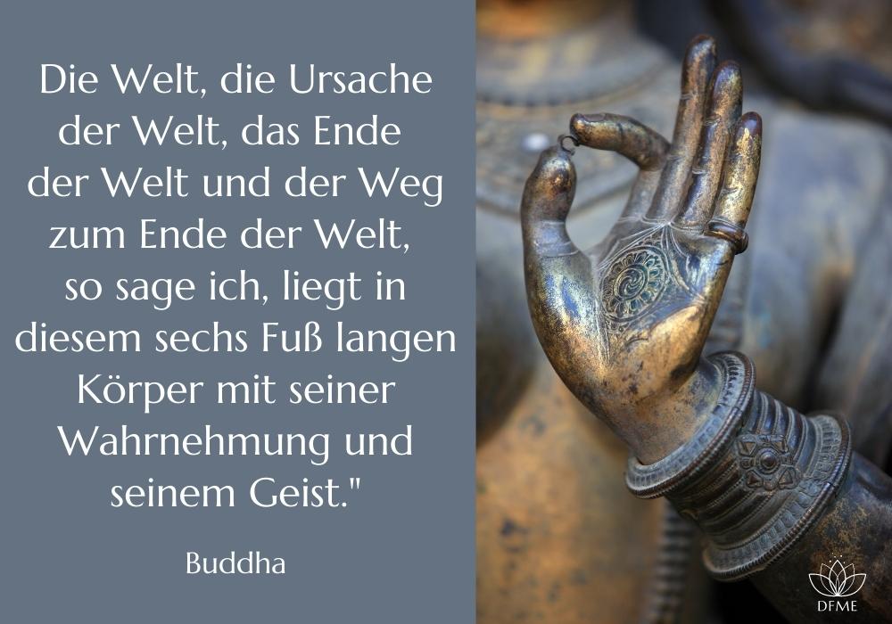 Bodyscan Zitat Buddha